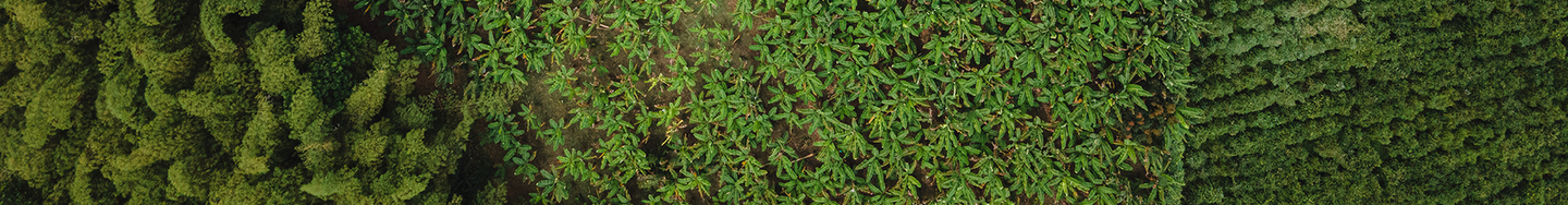 Aerial photo of agricultural land in Colombia, South America