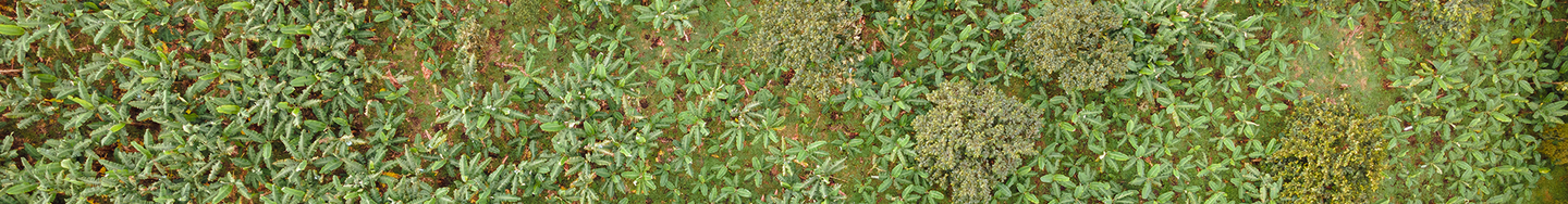 Aerial photo of agricultural land in Colombia, South America