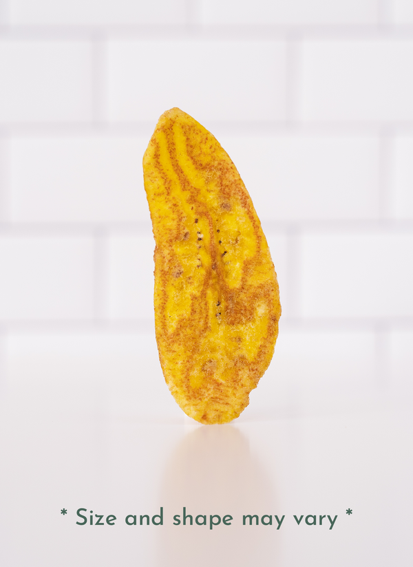 Photo of a Single Plantain Strip. Size and shape may vary