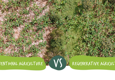 Picture comparing conventional agriculture vs regenerative agriculture