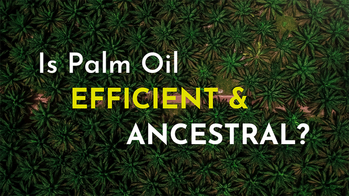 Is palm oil efficient and ancestral?