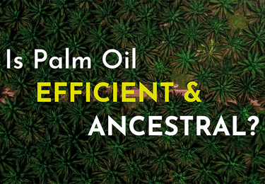 Is palm oil efficient and ancestral?