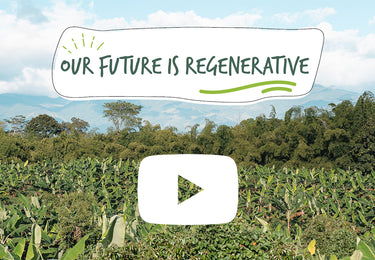 Our Future is Regenerative!