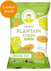 20 oz Sea Salt Plantain Strips